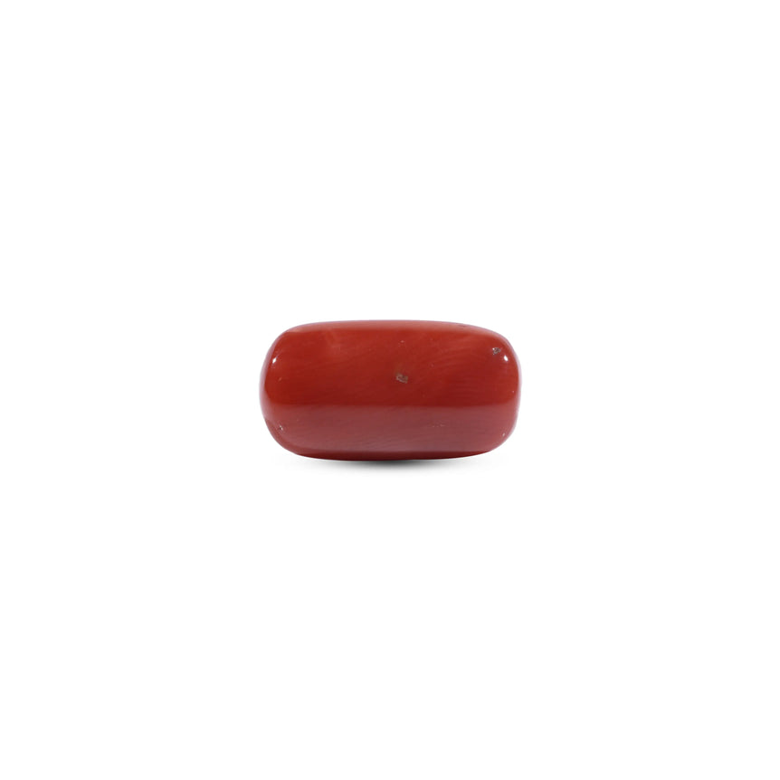 Red Coral - 10.8 Carat