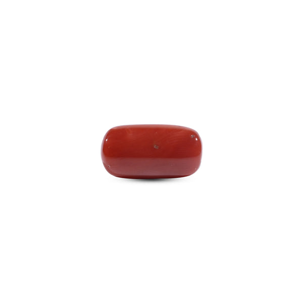 Red Coral - 10.8 Carat