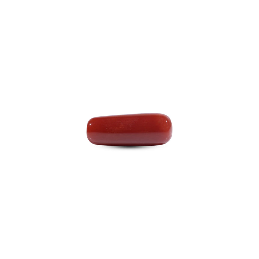 Red Coral - 7.2 Carat