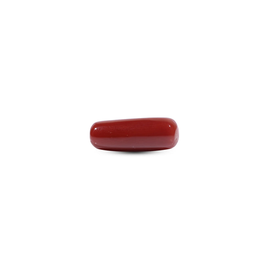 Red Coral - 7.2 Carat