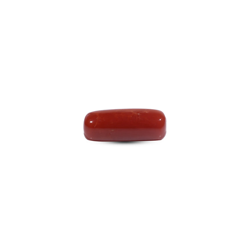 Red Coral - 11.15 Carat