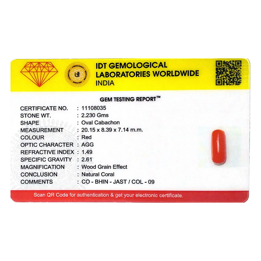Red Coral - 11.15 Carat