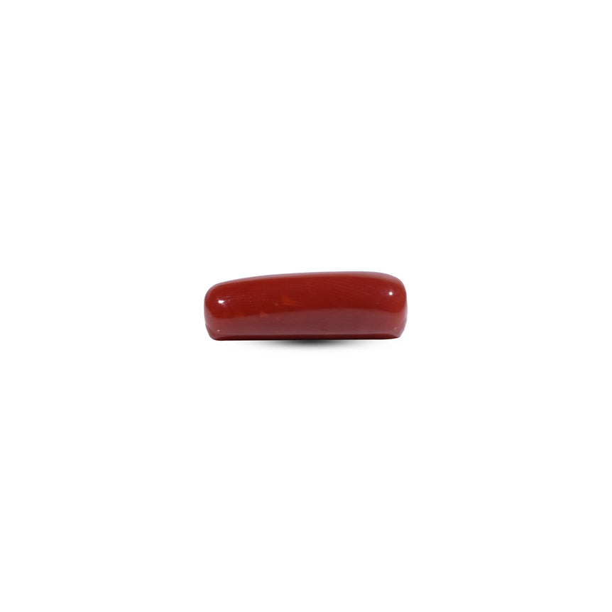 Red Coral - 7.65 Carat