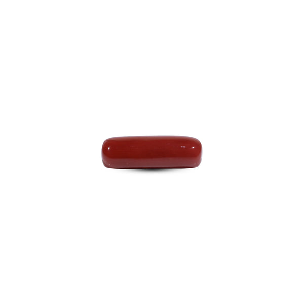 Red Coral - 7.35 Carat
