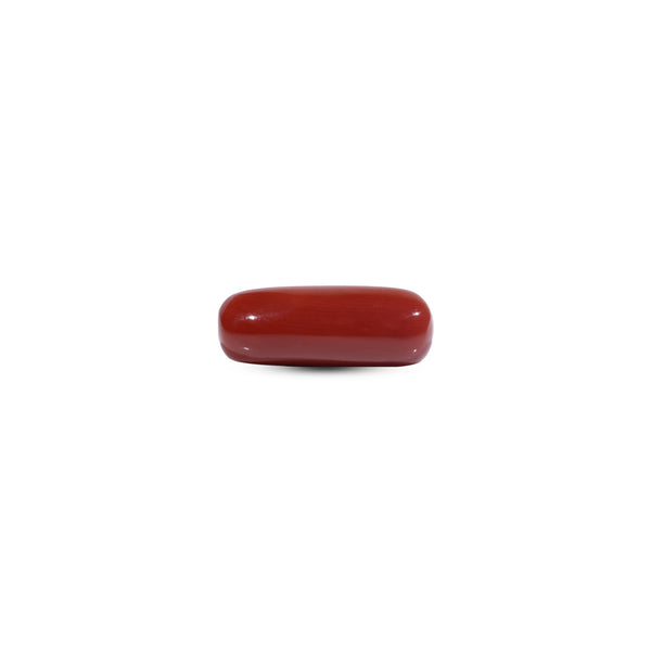  Red Coral - 8.25 Carat - Pramogh