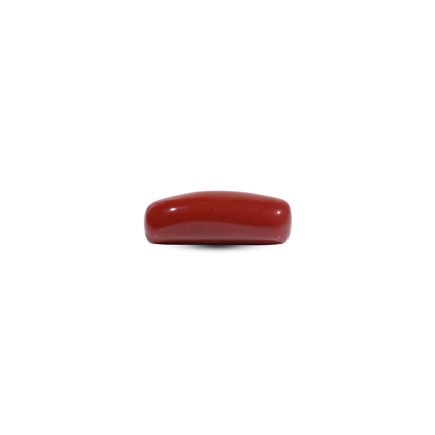 Red Coral - 8.25 Carat