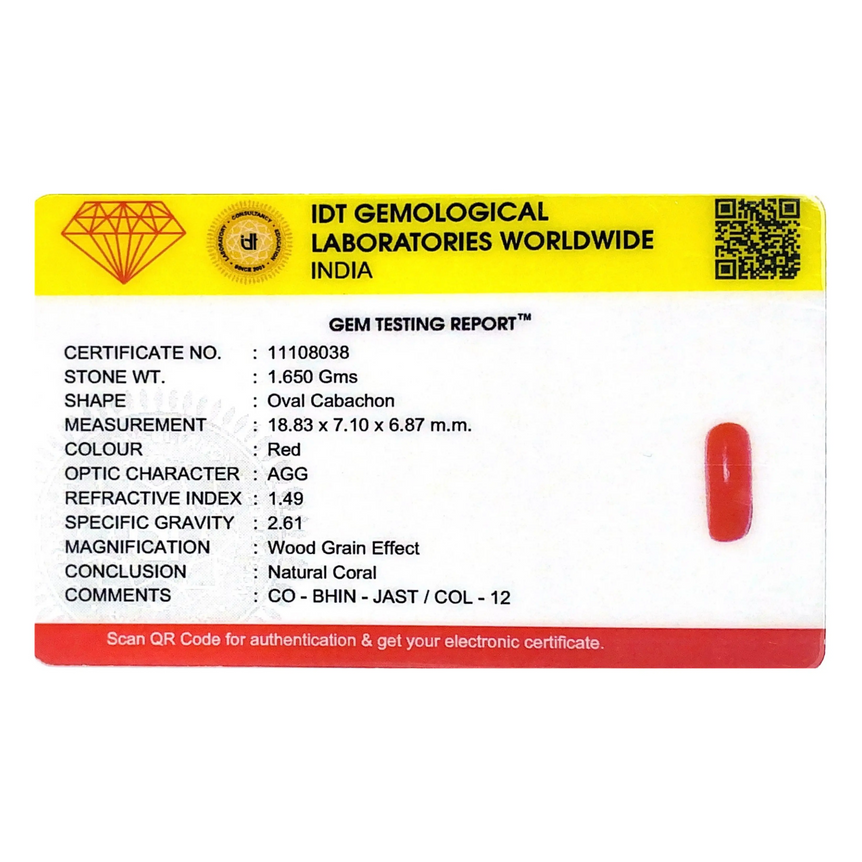 Red Coral - 8.25 Carat