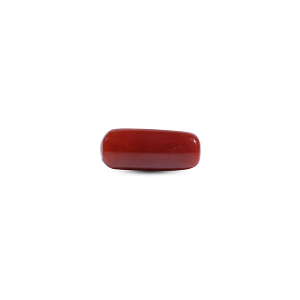 Red Coral - 7.8 Carat