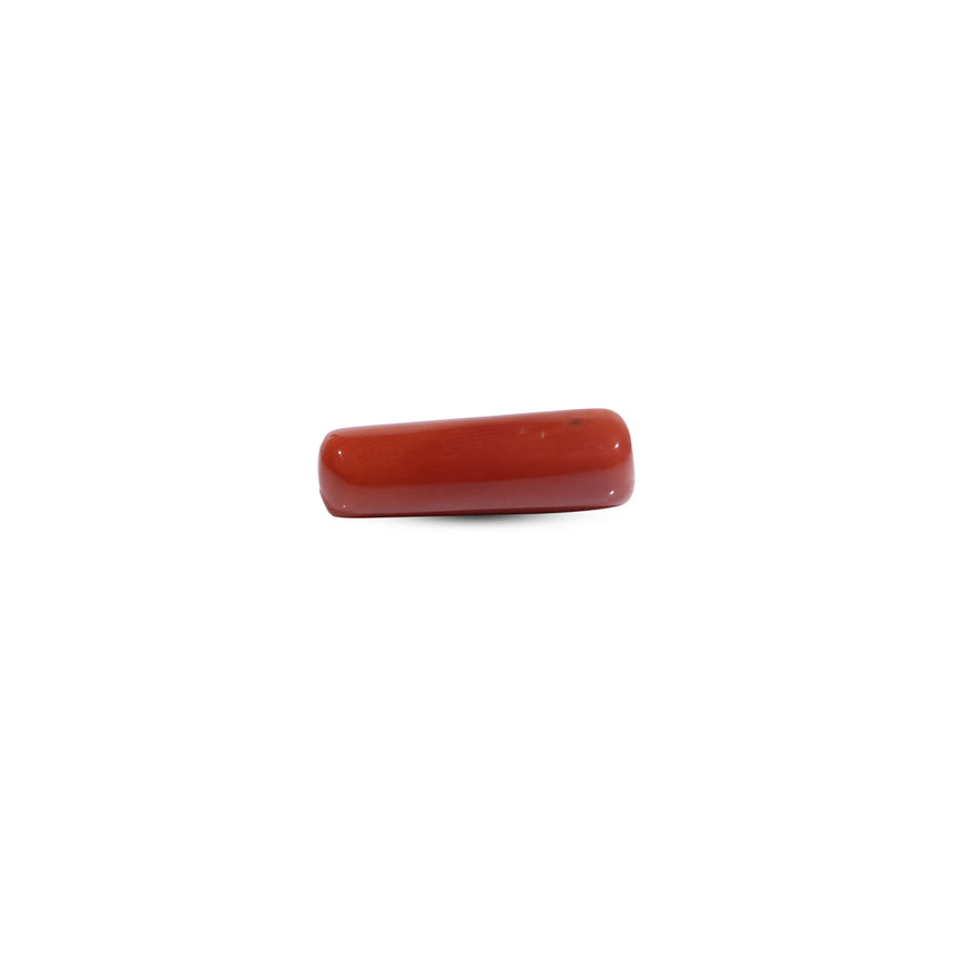 Red Coral - 7.8 Carat