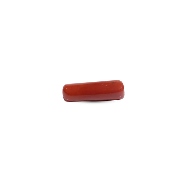 Red Coral - 7.8 Carat