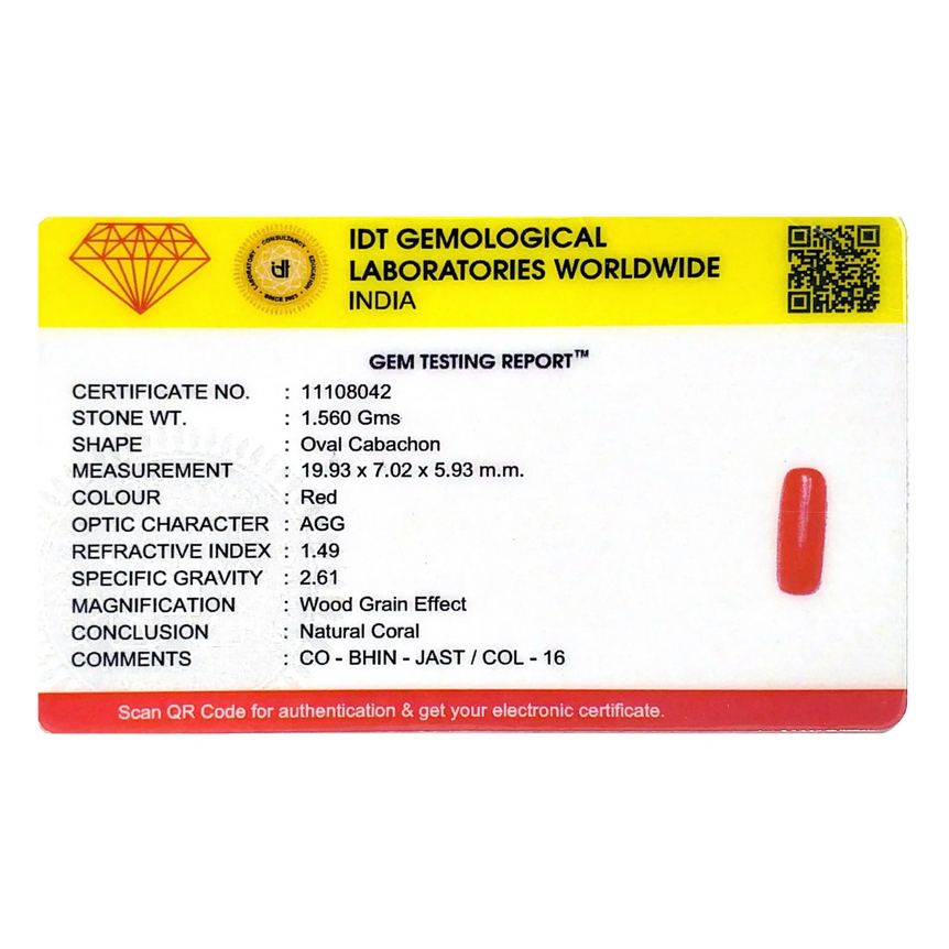 Red Coral - 7.8 Carat