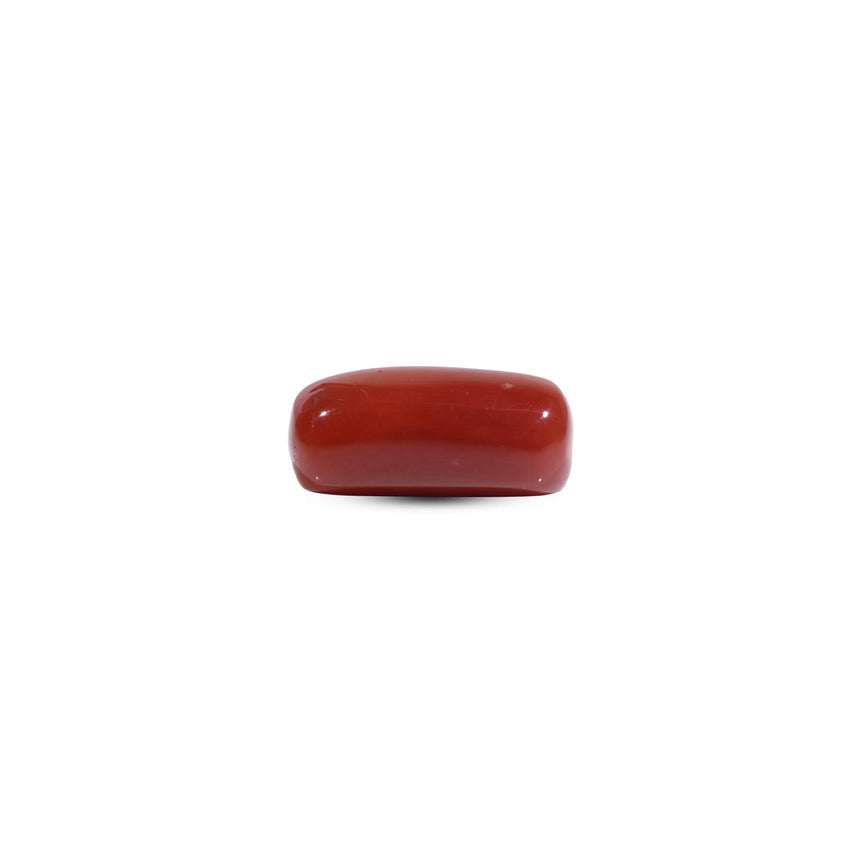 Red Coral - 8 Carat