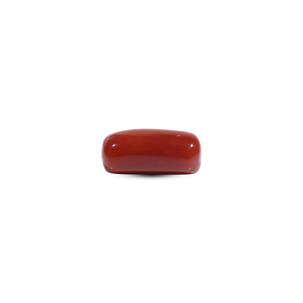 Red Coral - 8 Carat