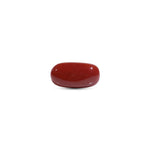  Red Coral - 7.5 Carat - Pramogh