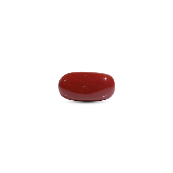  Red Coral - 7.5 Carat - Pramogh