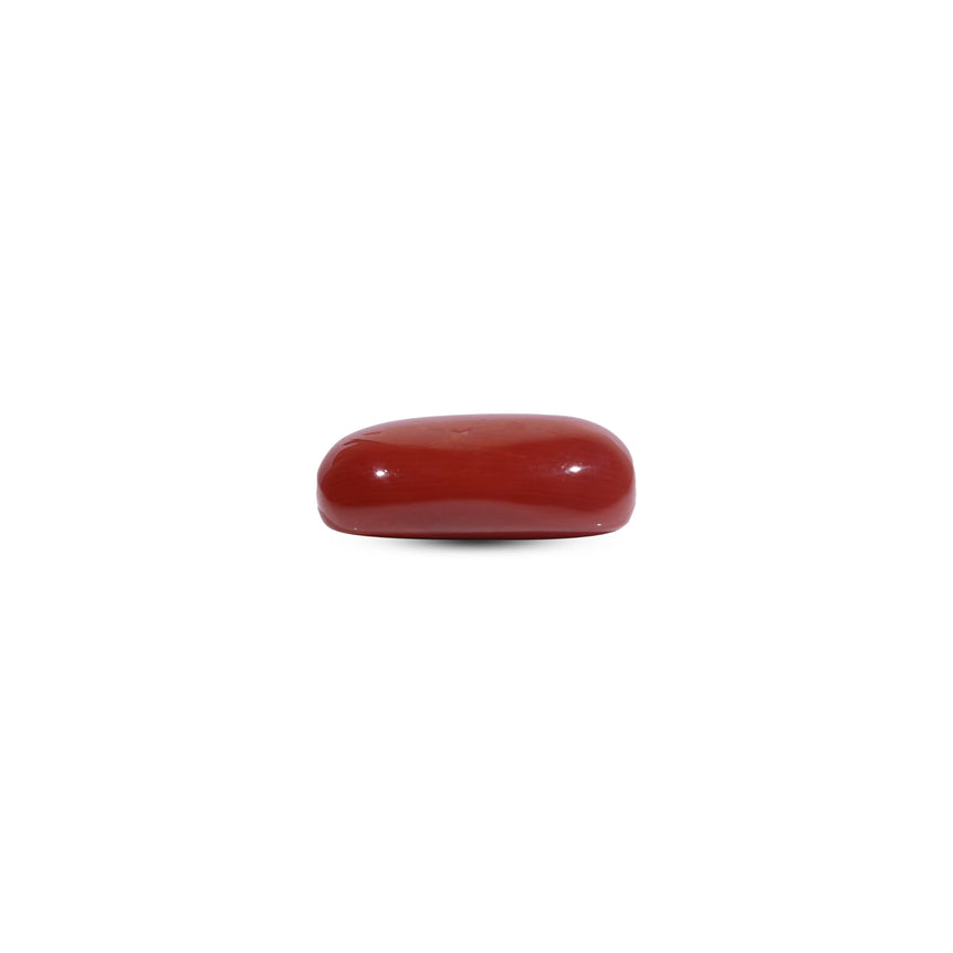 Red Coral - 7.5 Carat