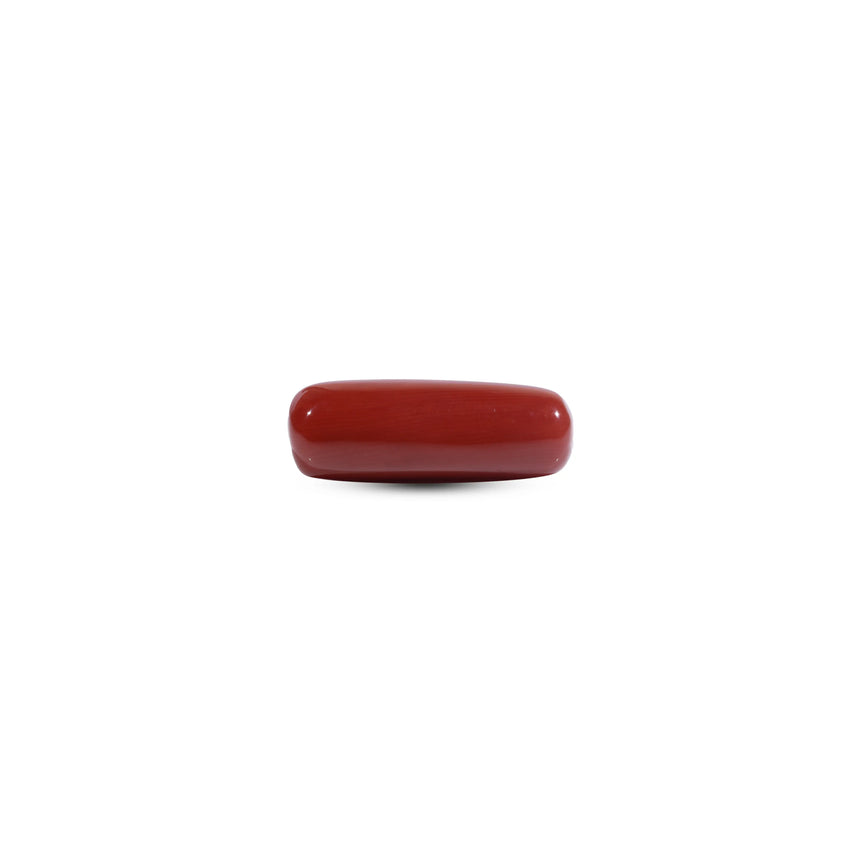 Red Coral - 7.5 Carat