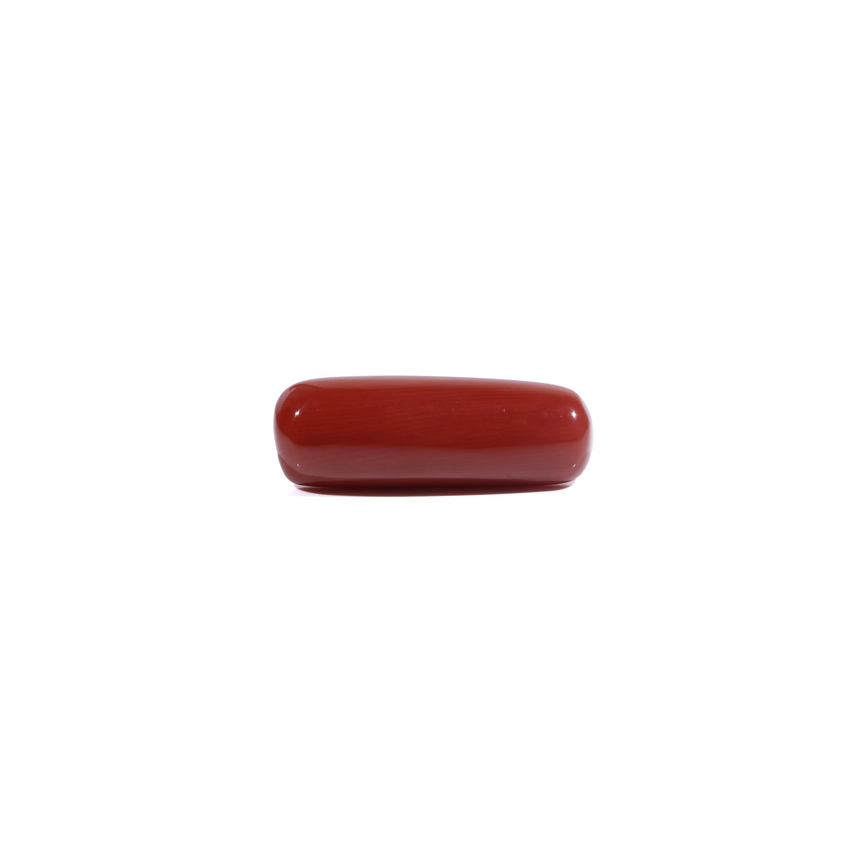 Red Coral - 7.5 Carat
