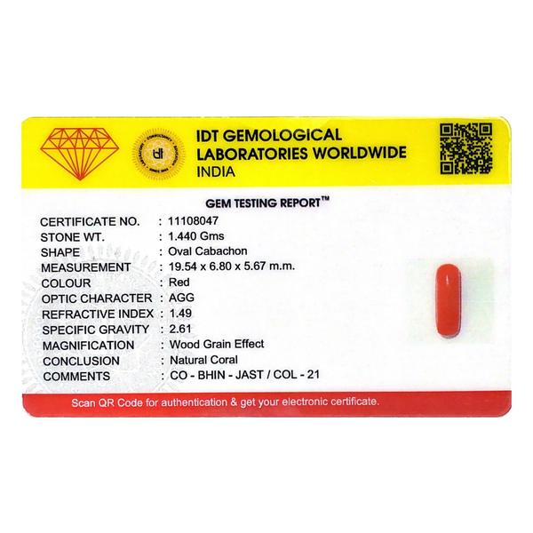 Red Coral - 7.2 Carat