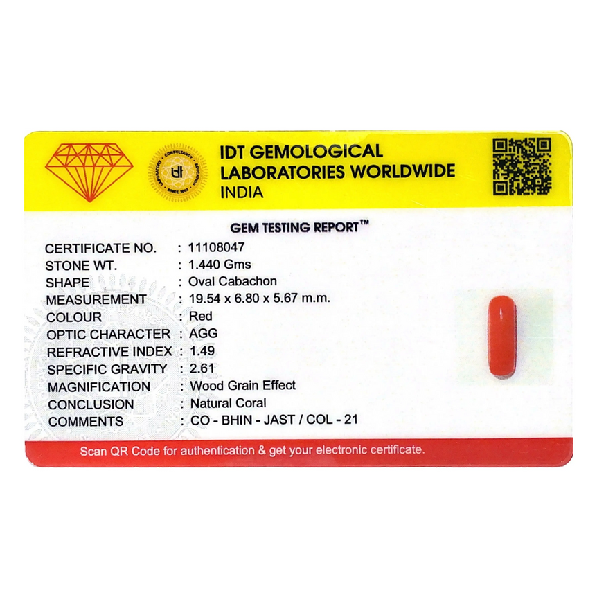 Red Coral - 7.2 Carat