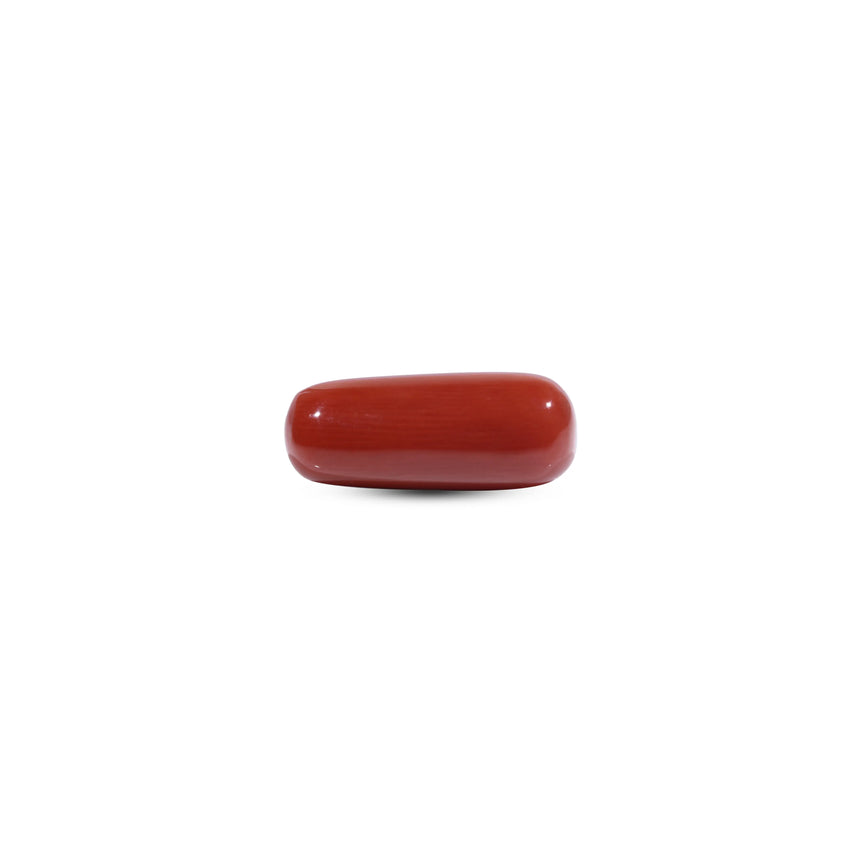 Red Coral - 7.65 Carat