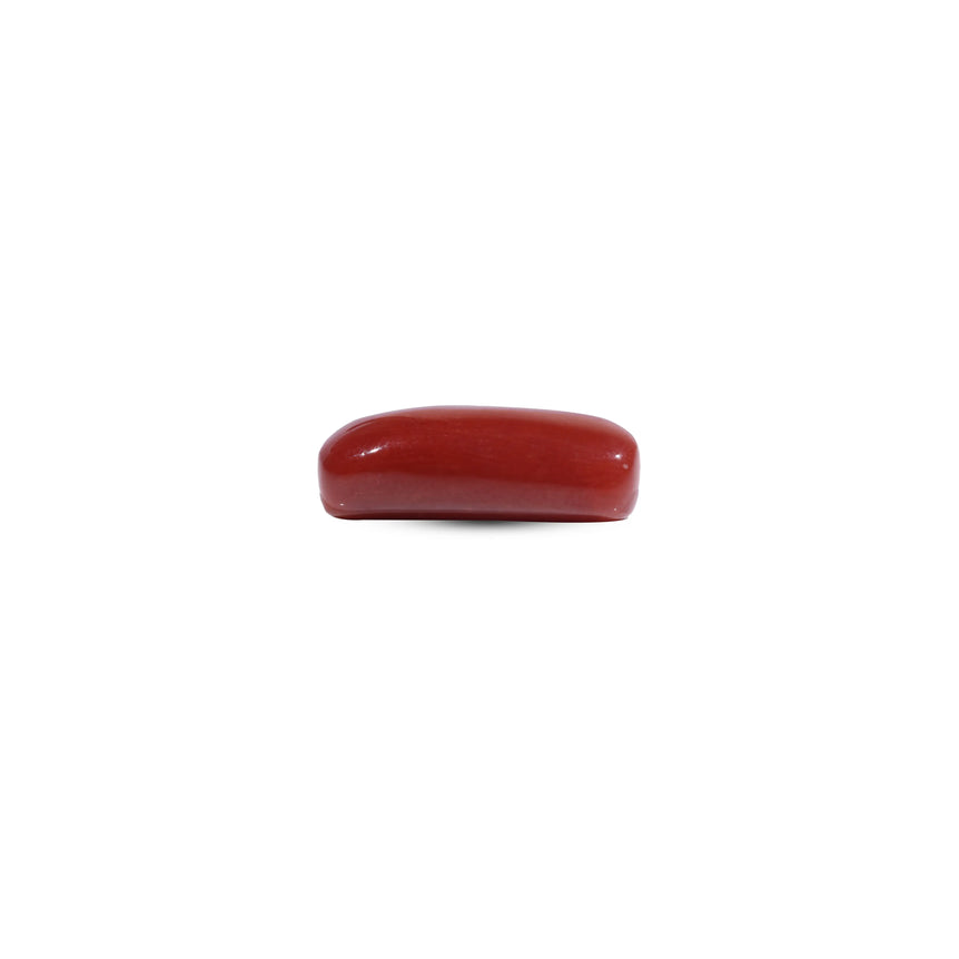 Red Coral - 7.2 Carat