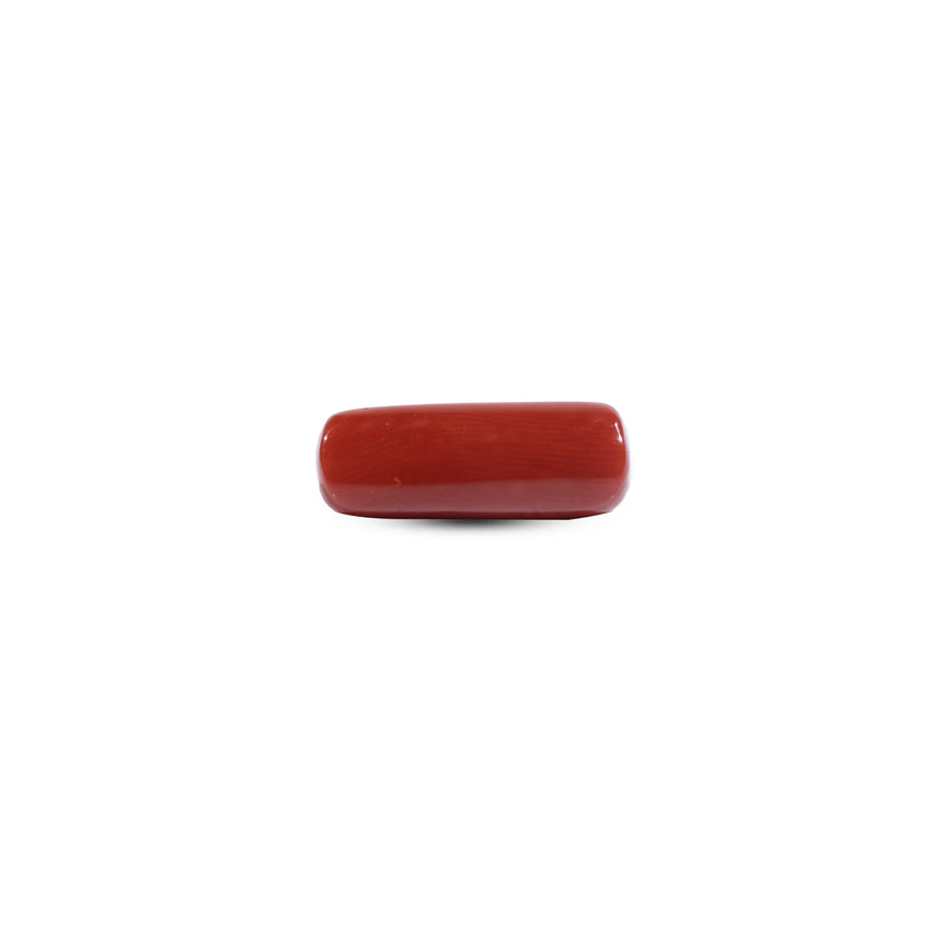 Red Coral - 7.55 Carat