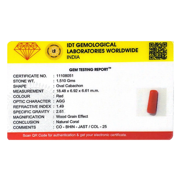 Red Coral - 7.55 Carat