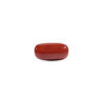  Red Coral - 11.7 Carat - Pramogh