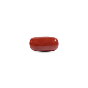  Red Coral - 11.7 Carat - Pramogh