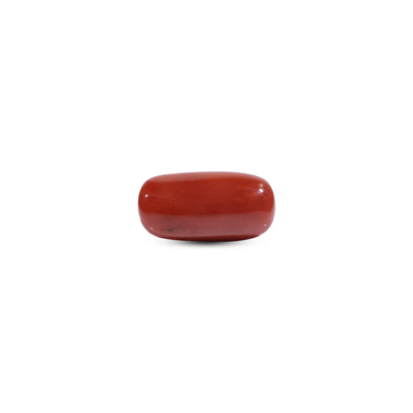  Red Coral - 11.7 Carat - Pramogh