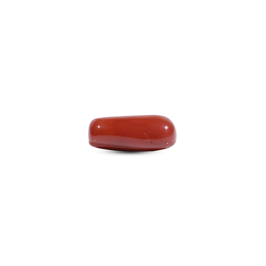 Red Coral - 11.7 Carat