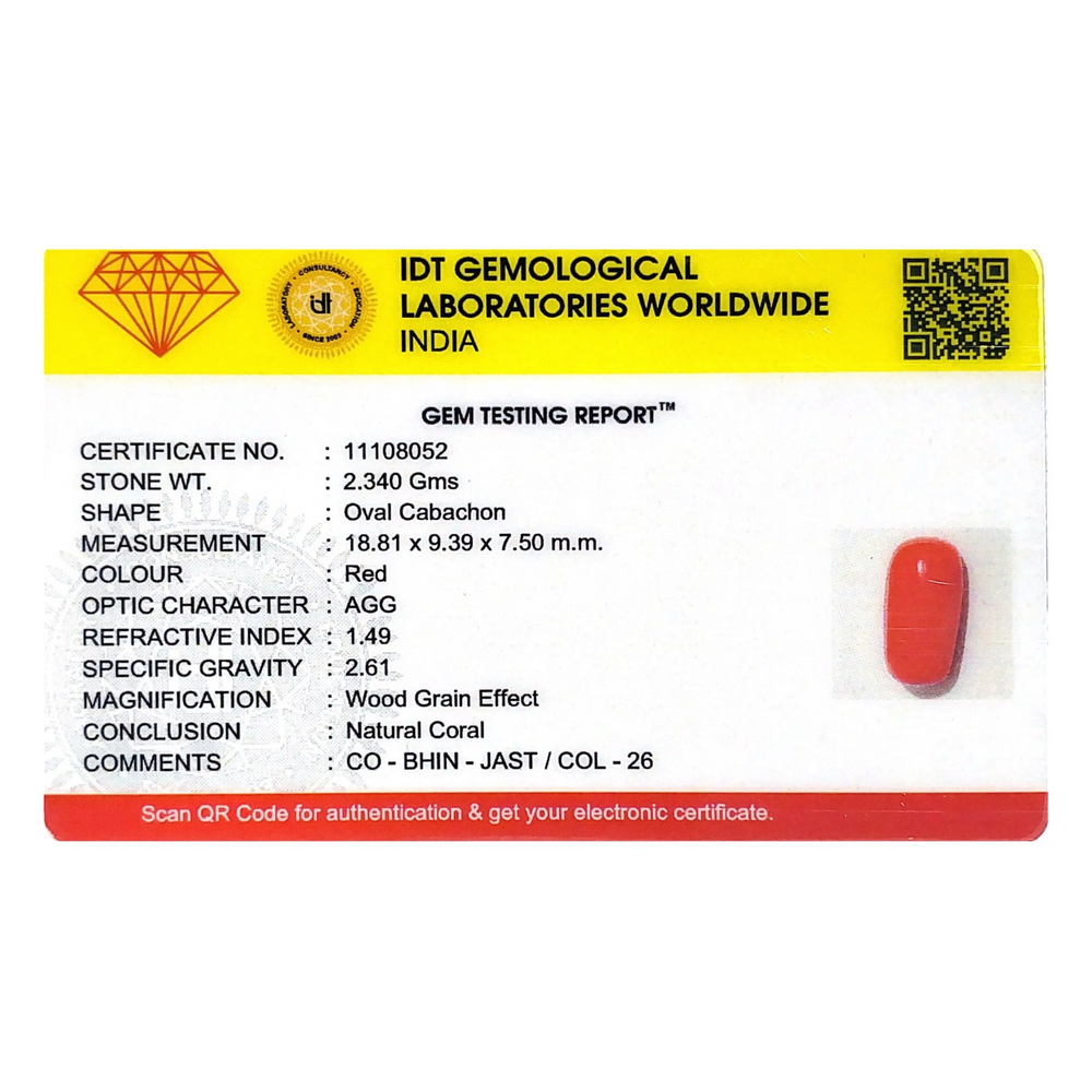 Red Coral - 11.7 Carat