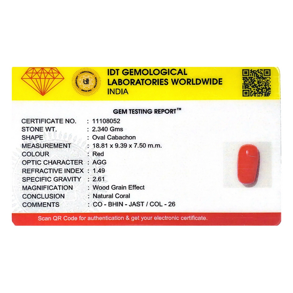 Red Coral - 11.7 Carat