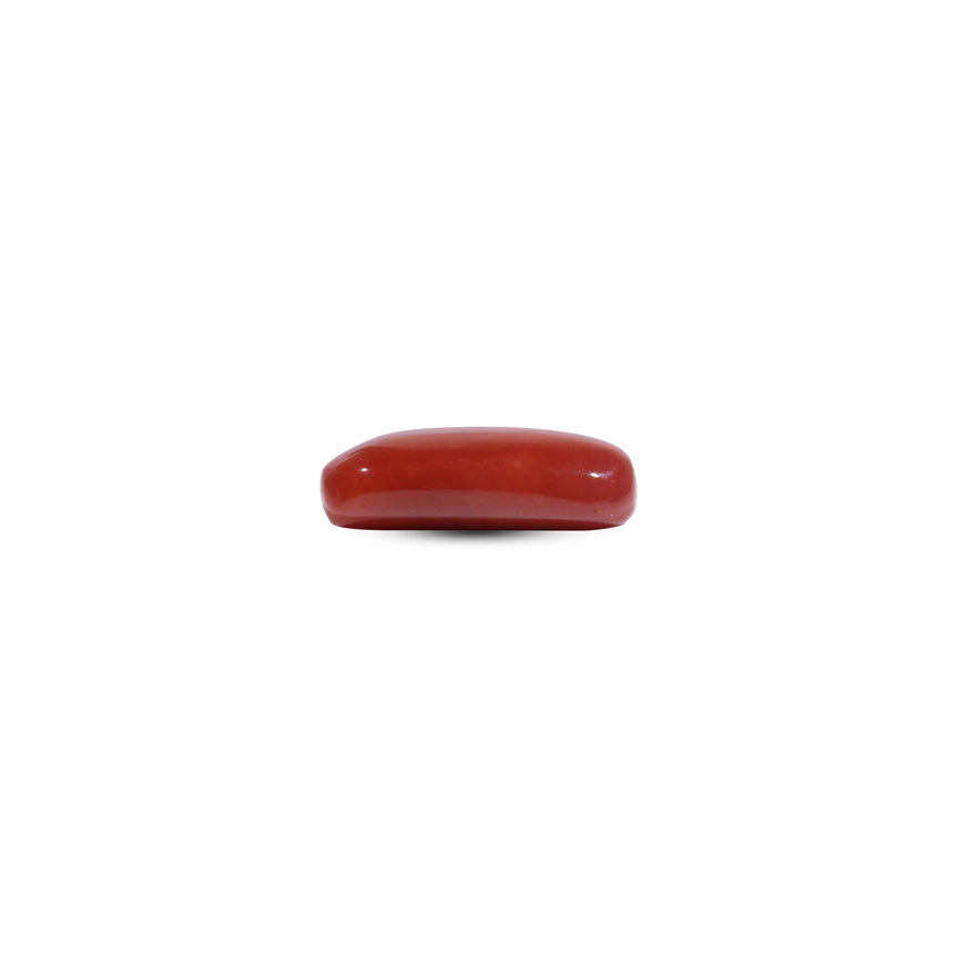Red Coral - 9.2 Carat