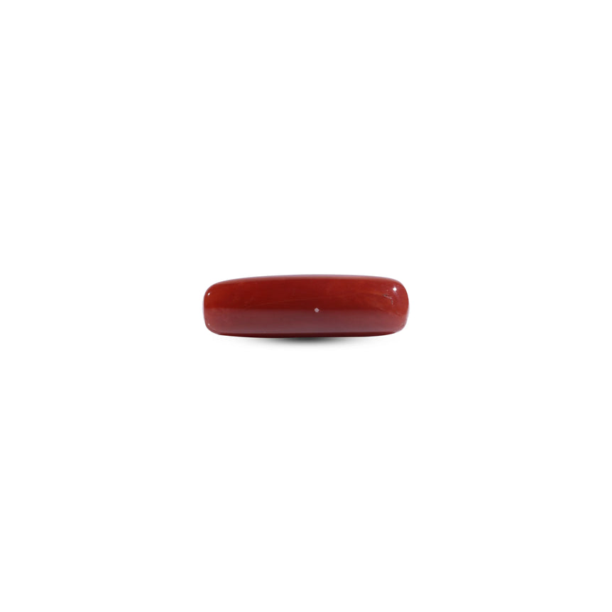 Red Coral - 7.3 Carat