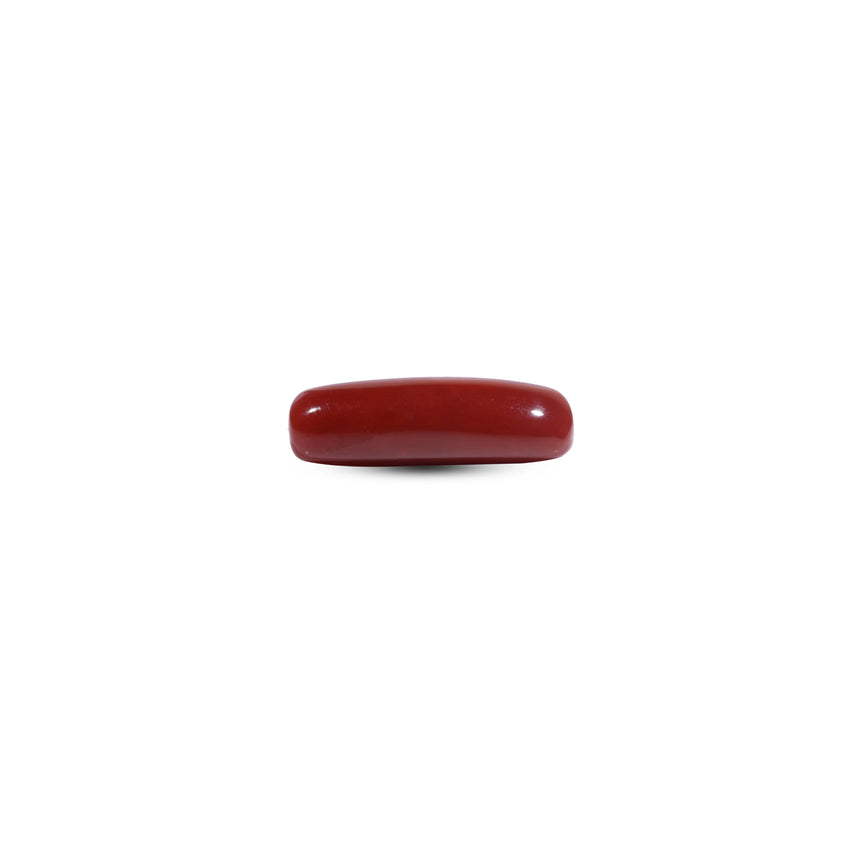 Red Coral - 7.3 Carat