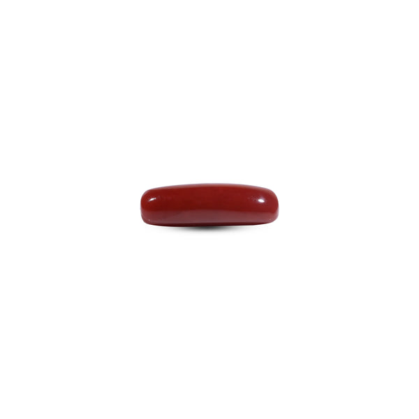 Red Coral - 7.3 Carat
