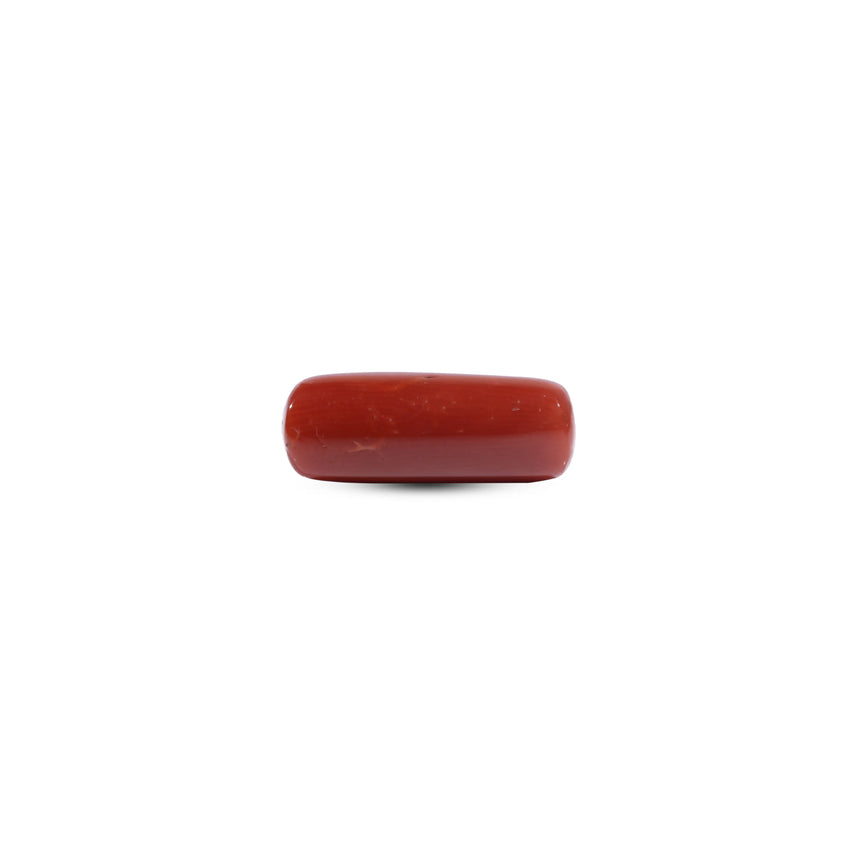 Red Coral - 9.5 Carat