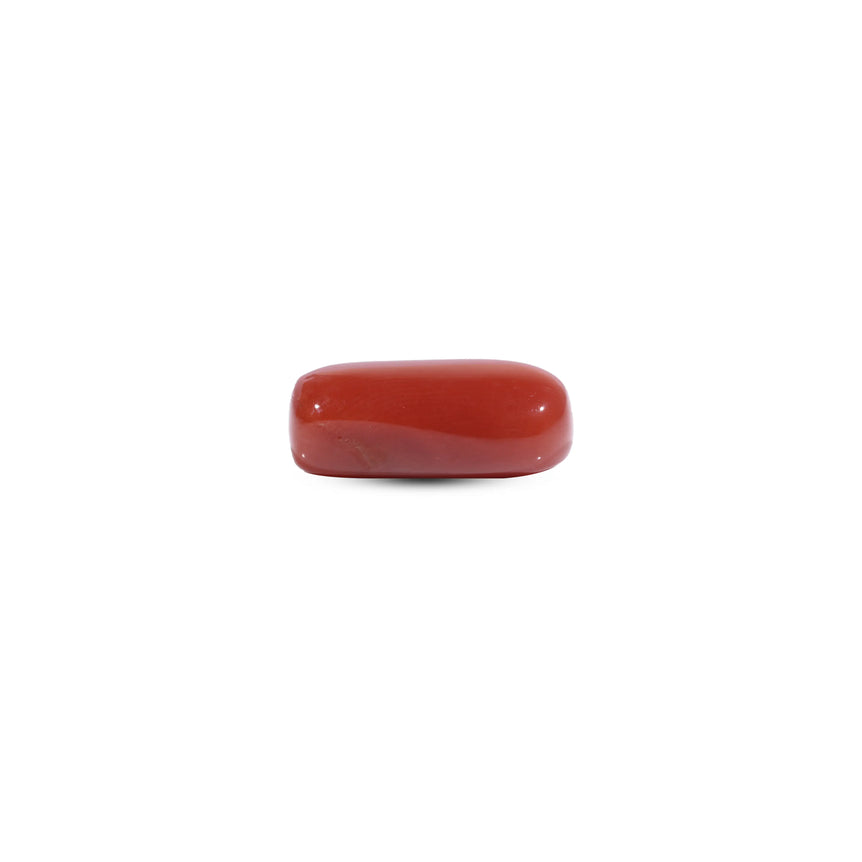 Red Coral - 8.4 Carat