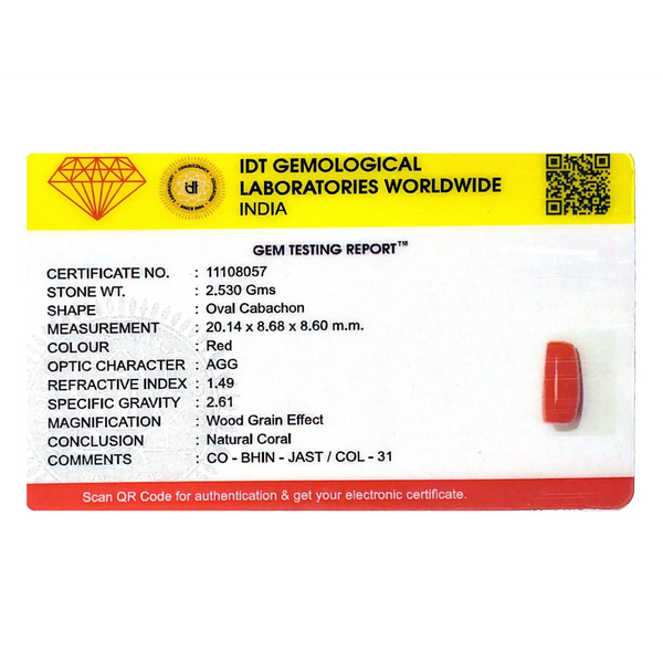 Red Coral - 12.65 Carat