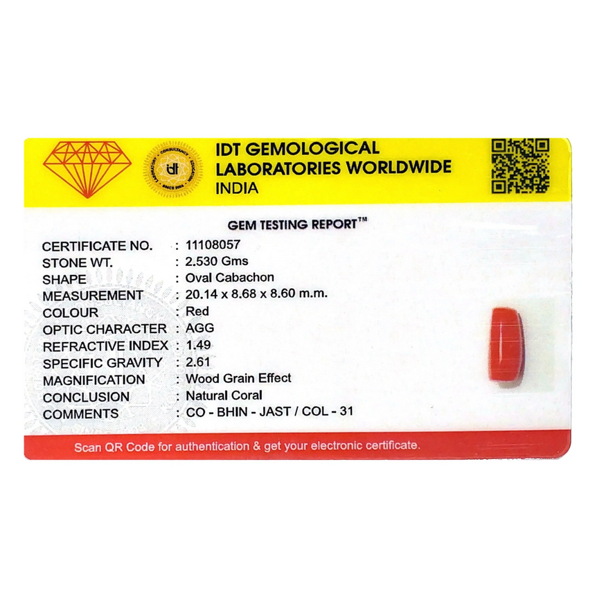 Red Coral - 12.65 Carat