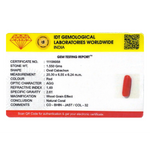 Red Coral - 7.75 Carat