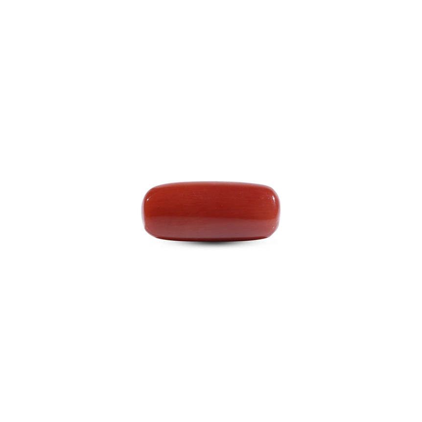 Red Coral - 7.95 Carat