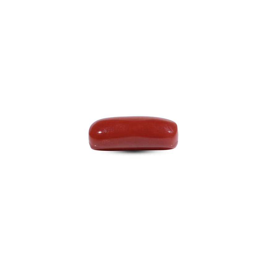 Red Coral - 7.95 Carat
