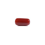 Red Coral - 7.2 Carat
