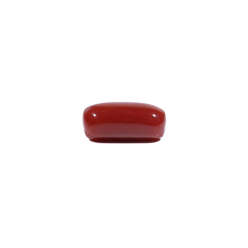 Red Coral - 7.2 Carat