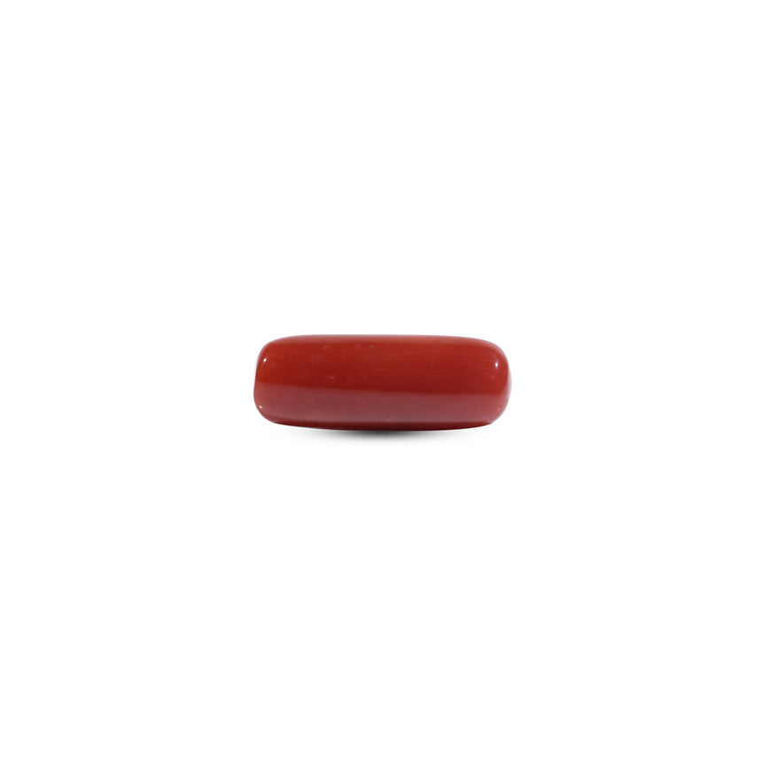 Red Coral - 8.55 Carat