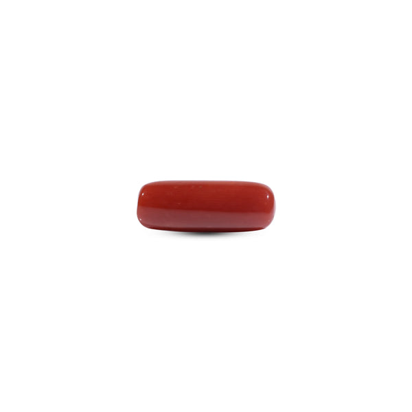 Red Coral - 8.55 Carat