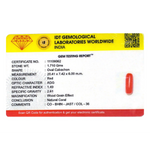 Red Coral - 8.55 Carat